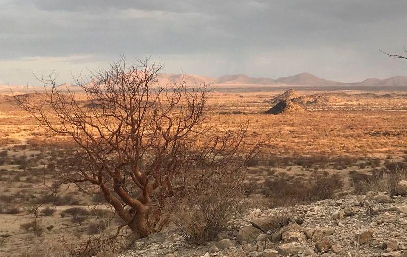 Die große Dürre in Nambia