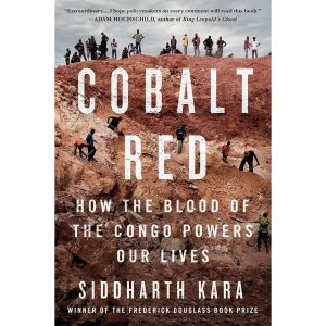 Kobalt: Ausbeutung für unser Öko-Gewissen