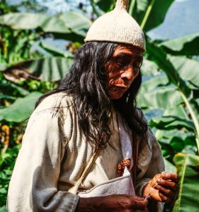 Suche nach der indigenen Weisheit