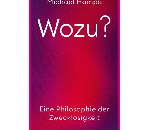 Cover Michael Hampe, Wozu